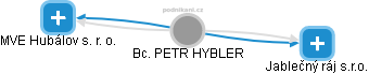 PETR HYBLER - Vizualizace  propojení osoby a firem v obchodním rejstříku