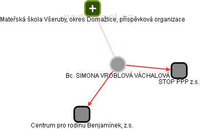 SIMONA VROBLOVÁ VÁCHALOVÁ - Vizualizace  propojení osoby a firem v obchodním rejstříku