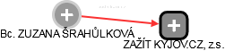  Šrahůlková Z. - Vizualizace  propojení osoby a firem v obchodním rejstříku