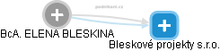 ELENA BLESKINA - Vizualizace  propojení osoby a firem v obchodním rejstříku