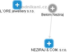 Bekim Neziraj - Vizualizace  propojení osoby a firem v obchodním rejstříku