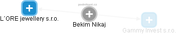 Bekim Nikaj - Vizualizace  propojení osoby a firem v obchodním rejstříku