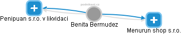  Benita B. - Vizualizace  propojení osoby a firem v obchodním rejstříku