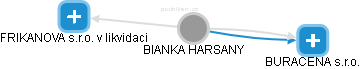  Bianka H. - Vizualizace  propojení osoby a firem v obchodním rejstříku