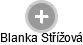 Blanka Střížová - Vizualizace  propojení osoby a firem v obchodním rejstříku