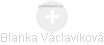 Blanka Václavíková - Vizualizace  propojení osoby a firem v obchodním rejstříku