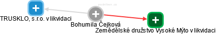 Bohumila Čejková - Vizualizace  propojení osoby a firem v obchodním rejstříku