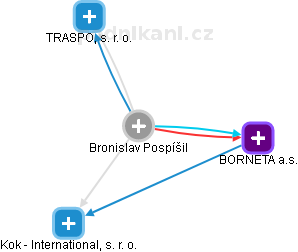  Bronislav P. - Vizualizace  propojení osoby a firem v obchodním rejstříku