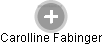 Carolline Fabinger - Vizualizace  propojení osoby a firem v obchodním rejstříku