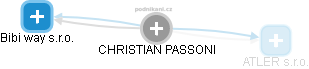  Christian P. - Vizualizace  propojení osoby a firem v obchodním rejstříku