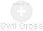 Cyril Gross - Vizualizace  propojení osoby a firem v obchodním rejstříku