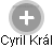 Cyril Král - Vizualizace  propojení osoby a firem v obchodním rejstříku