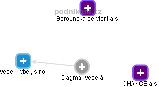Dagmar Veselá - Vizualizace  propojení osoby a firem v obchodním rejstříku