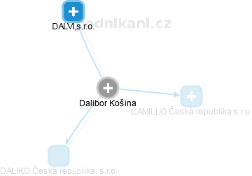 Dalibor Košina - Vizualizace  propojení osoby a firem v obchodním rejstříku
