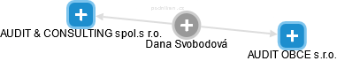  Dana S. - Vizualizace  propojení osoby a firem v obchodním rejstříku