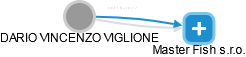 DARIO VINCENZO VIGLIONE - Vizualizace  propojení osoby a firem v obchodním rejstříku