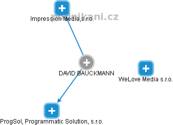 DAVID BAUCKMANN - Vizualizace  propojení osoby a firem v obchodním rejstříku