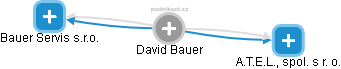David Bauer - Vizualizace  propojení osoby a firem v obchodním rejstříku