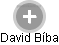 David Bíba - Vizualizace  propojení osoby a firem v obchodním rejstříku