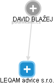 DAVID BLAŽEJ - Vizualizace  propojení osoby a firem v obchodním rejstříku