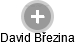 David Březina - Vizualizace  propojení osoby a firem v obchodním rejstříku