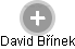 David Břínek - Vizualizace  propojení osoby a firem v obchodním rejstříku