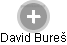 David Bureš - Vizualizace  propojení osoby a firem v obchodním rejstříku