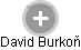 David Burkoň - Vizualizace  propojení osoby a firem v obchodním rejstříku