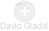 David Gladiš - Vizualizace  propojení osoby a firem v obchodním rejstříku