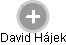  David H. - Vizualizace  propojení osoby a firem v obchodním rejstříku