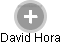 David Hora - Vizualizace  propojení osoby a firem v obchodním rejstříku