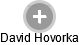 David Hovorka - Vizualizace  propojení osoby a firem v obchodním rejstříku