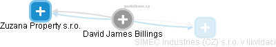 David James Billings - Vizualizace  propojení osoby a firem v obchodním rejstříku