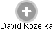 David Kozelka - Vizualizace  propojení osoby a firem v obchodním rejstříku