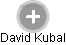 David Kubal - Vizualizace  propojení osoby a firem v obchodním rejstříku