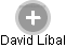 David Líbal - Vizualizace  propojení osoby a firem v obchodním rejstříku