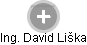 David Liška - Vizualizace  propojení osoby a firem v obchodním rejstříku