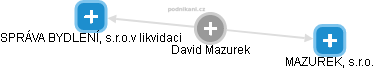 David Mazurek - Vizualizace  propojení osoby a firem v obchodním rejstříku