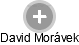 David Morávek - Vizualizace  propojení osoby a firem v obchodním rejstříku