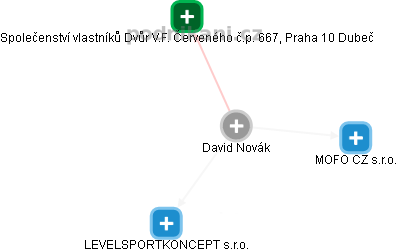 David Novák - Vizualizace  propojení osoby a firem v obchodním rejstříku