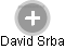  David S. - Vizualizace  propojení osoby a firem v obchodním rejstříku