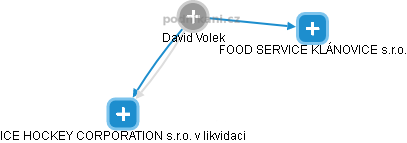  David V. - Vizualizace  propojení osoby a firem v obchodním rejstříku