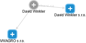  David W. - Vizualizace  propojení osoby a firem v obchodním rejstříku
