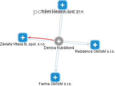 Denisa Kubálková - Vizualizace  propojení osoby a firem v obchodním rejstříku