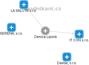 Denisa Lipová - Vizualizace  propojení osoby a firem v obchodním rejstříku