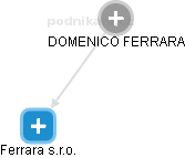 DOMENICO FERRARA - Vizualizace  propojení osoby a firem v obchodním rejstříku
