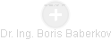 Boris Baberkov - Vizualizace  propojení osoby a firem v obchodním rejstříku