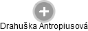 Drahuška Antropiusová - Vizualizace  propojení osoby a firem v obchodním rejstříku