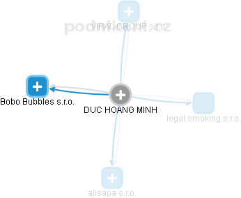 DUC HOANG MINH - Vizualizace  propojení osoby a firem v obchodním rejstříku