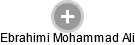 Ebrahimi Mohammad Ali - Vizualizace  propojení osoby a firem v obchodním rejstříku